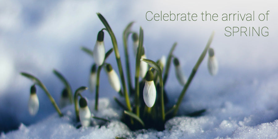 Celebrate the arrival of SPRING
