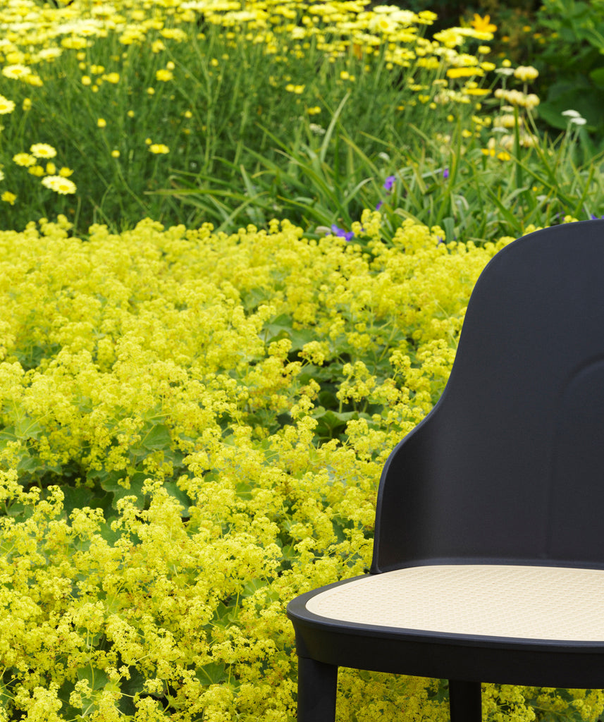Allez Chair Molded wicker/ PP