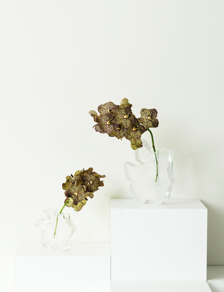 Draw Vase